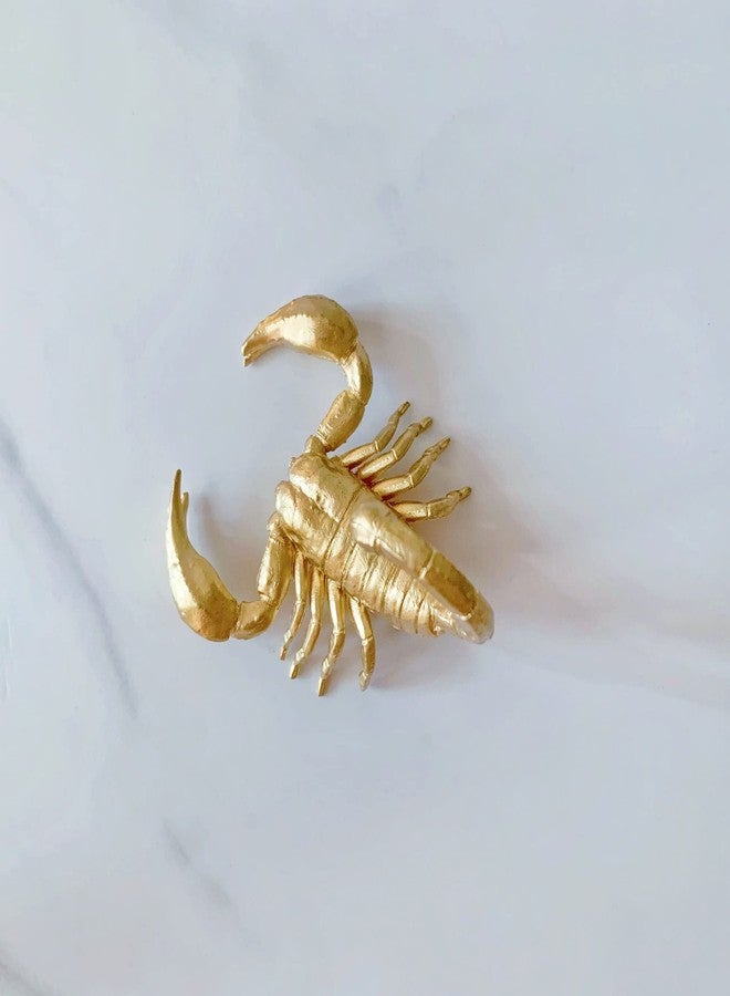 Pewery تمثال عقرب صغير من بيوري جولد، زينة حيوانية معدنية صلبة، منحوتة عقرب صغيرة لتزيين المنزل والمكتب والحديقة وسطح المكتب - Image 4